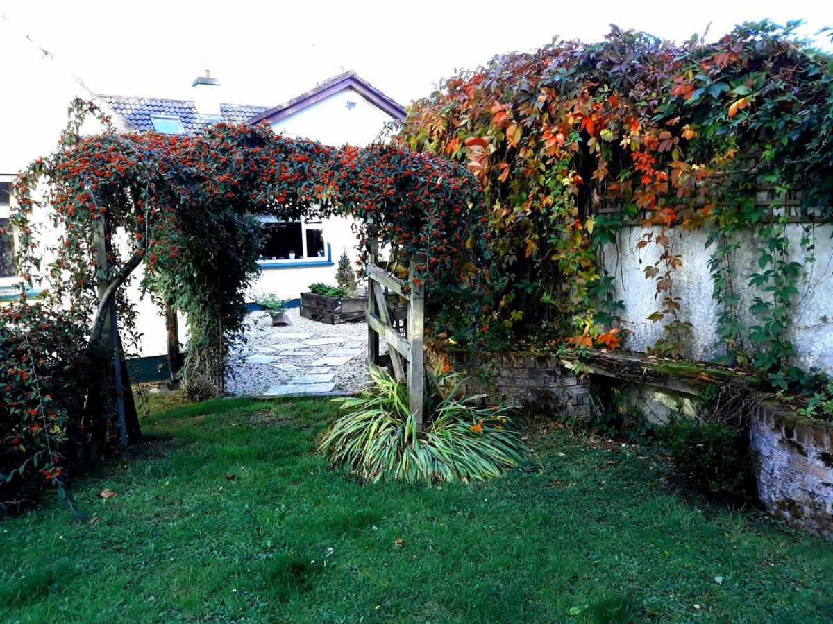 Country Home Tara Rathfeigh Экстерьер фото